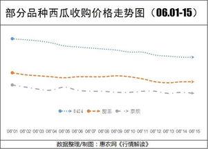 今日兰瓜价格走势最新行情,今日行情解析与趋势预测