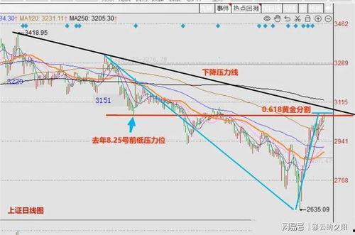 今日吊瓜行情走势最新,涨跌波动，市场动态解析