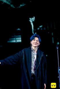 明星网红嘉年华是谁,璀璨星光下的狂欢盛宴”