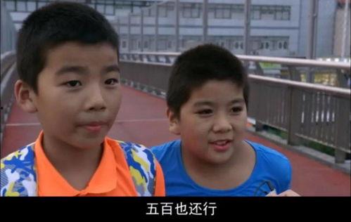 明星网红收多少税收的,收入与税负背后的秘密