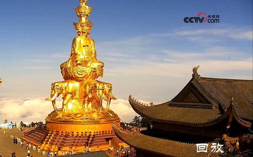 明星网红爬峨眉山,徒步登山展现毅力与风采