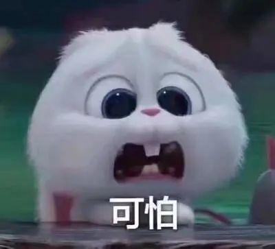 丽水今日吃瓜事件真相揭秘,揭秘背后真相与争议