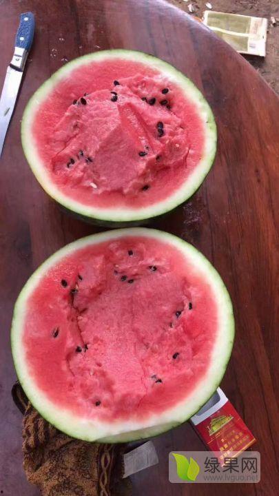 云南三月瓜今日行情,春意盎然，价格波动引关注