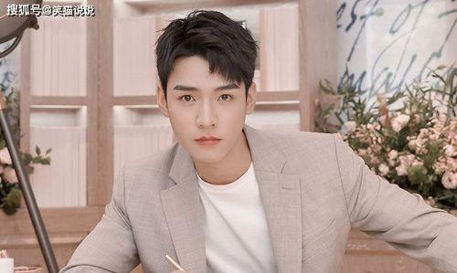 今日吃瓜罗晋任嘉伦,娱乐圈新动态引热议