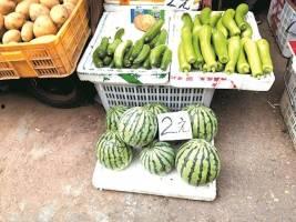 二瓜价格今日行情,价格波动解析与市场趋势洞察”