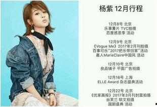 明星网红区别对比图表,全方位对比解析