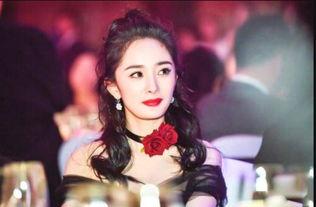 明星网红搭档是谁啊,揭秘神秘搭档身份