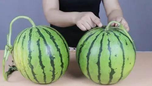 今日新鲜事酉瓜器,揭秘古代神秘酉瓜器的神奇魅力