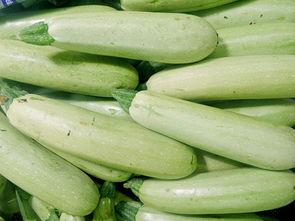 云南小瓜今日新闻