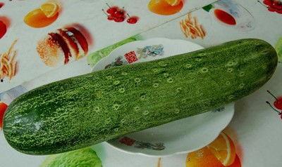 今日吃瓜5吃瓜网址,热门吃瓜网址大起底