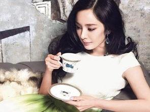 明星网红视频爆料大全集,热点事件幕后真相大起底