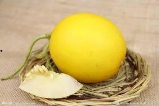 海南省今日蜜瓜价格,价格行情一览