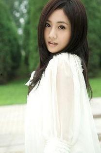 哪些明星网红去河北了,共赴文化之旅”