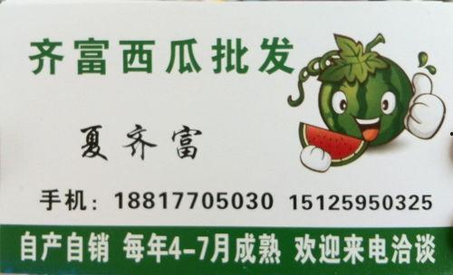 云南麒麟瓜产地今日行情