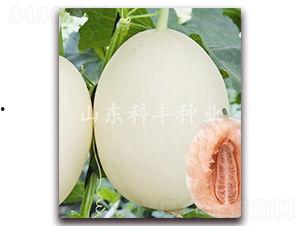 山瓜甜瓜今日价格表最新,最新市场行情一览