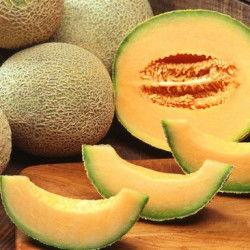 南宁哈密瓜今日价格行情,今日市场动态一览”