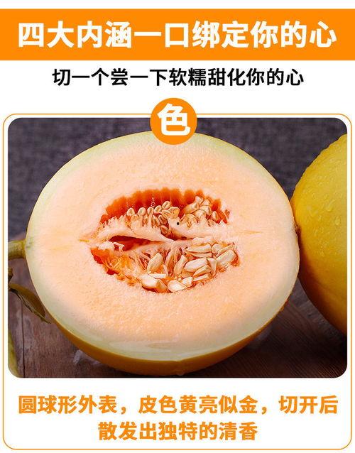 万邦黄河蜜瓜今日行情,甜蜜价格波动，市场供需动态解析